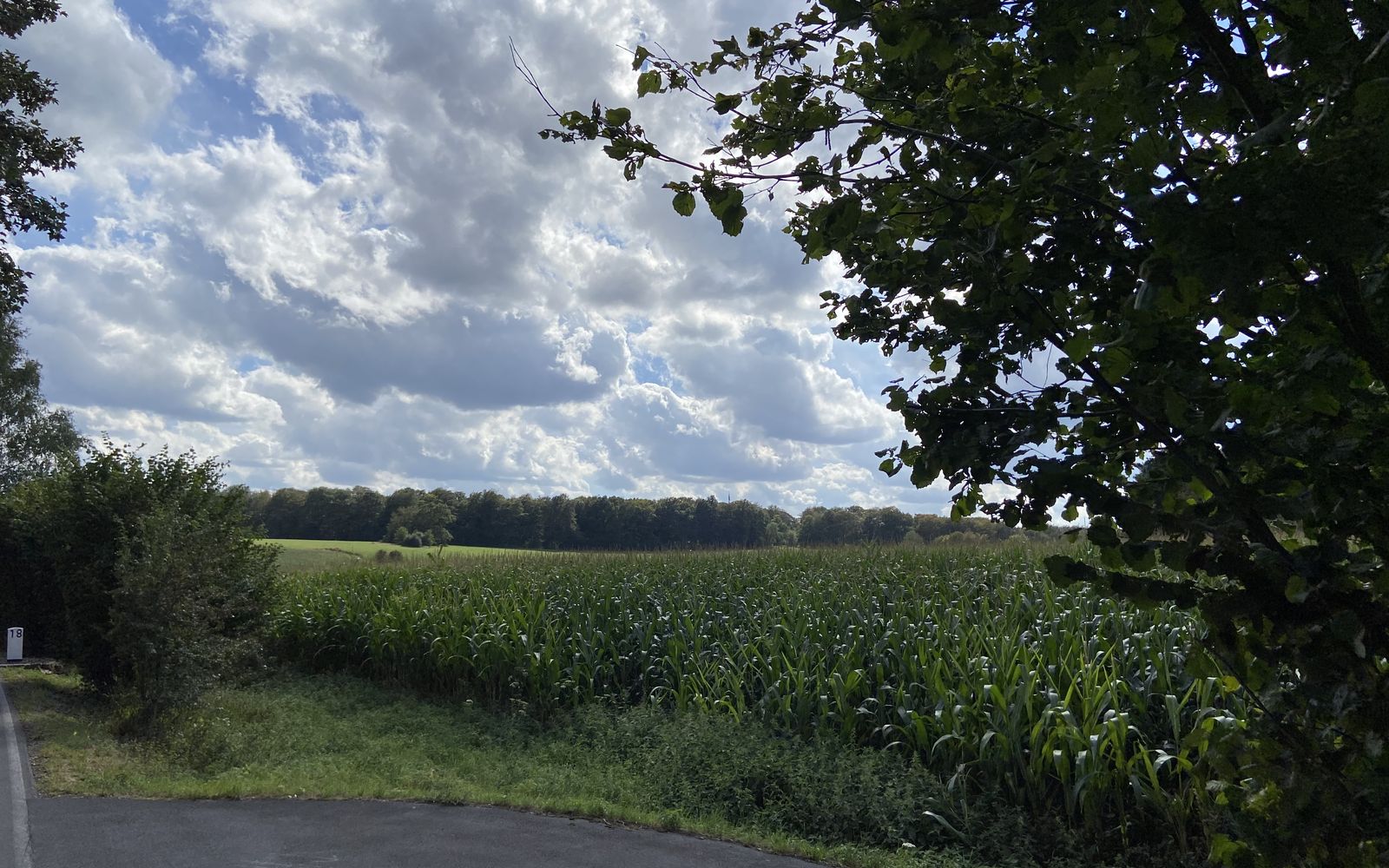 Landwirte schildern ihre Sorgen